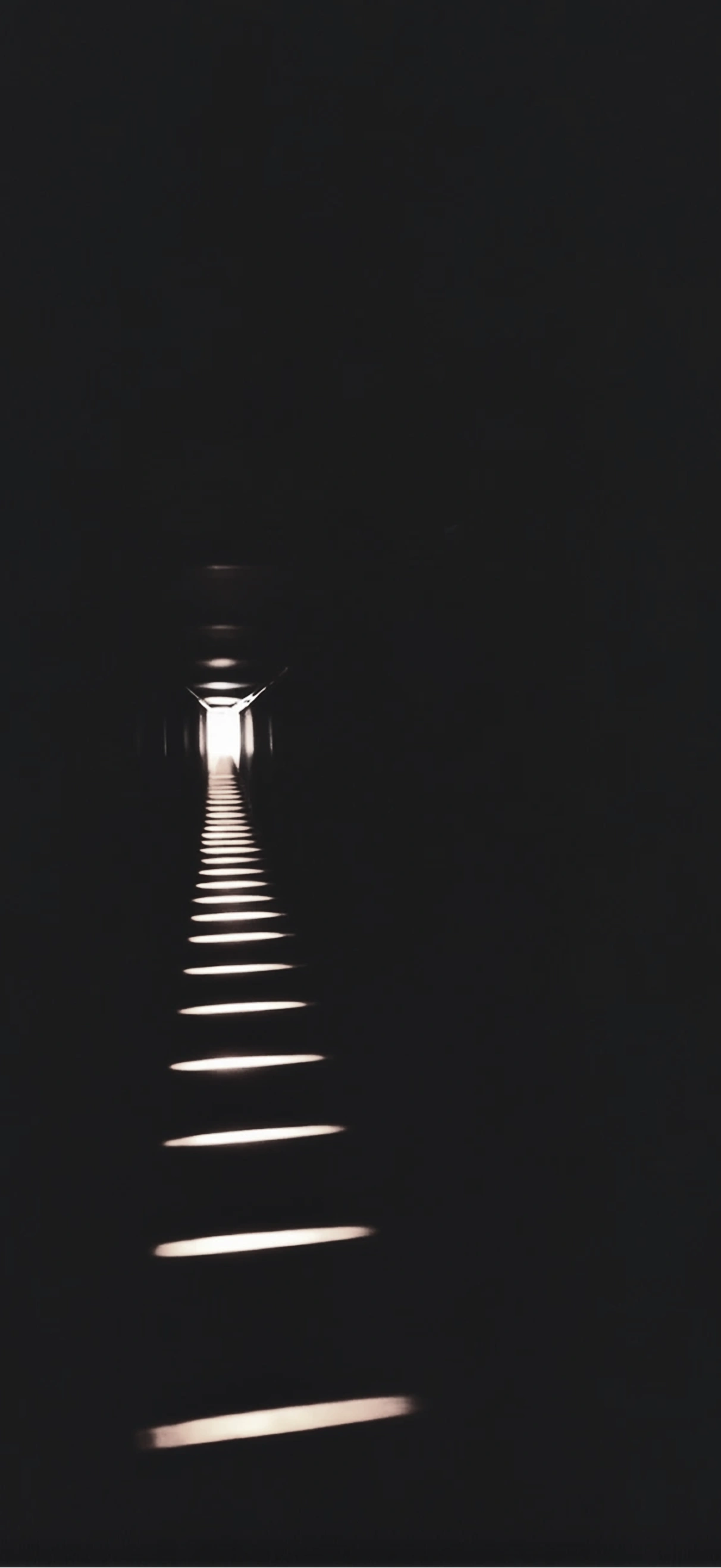 An Instagram story carrying the line Islam is the light that guides the way.